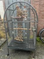 Vogelkooi, Ophalen, Zo goed als nieuw, Metaal, Vogelkooi