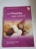 0266 een prachtig nest kittens, Verzenden, Zo goed als nieuw