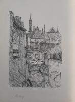 Markante Pentekeningen van Karakteristiek Den Bosch en Vught, Antiek en Kunst, Kunst | Tekeningen en Foto's, Ophalen