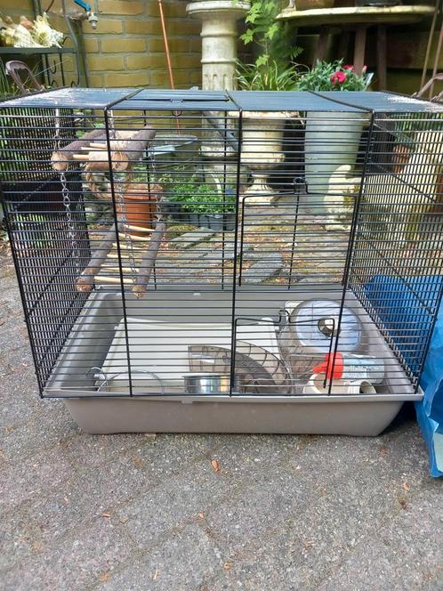 Kooi voor een Hamster, Dieren en Toebehoren, Knaagdieren en Konijnen | Hokken en Kooien, Zo goed als nieuw, Kooi, Minder dan 60 cm