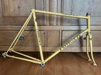 Vintage Gazelle Piet de Wit raceframe Campagnolo, Ophalen of Verzenden, Gebruikt, Racefiets, Frame