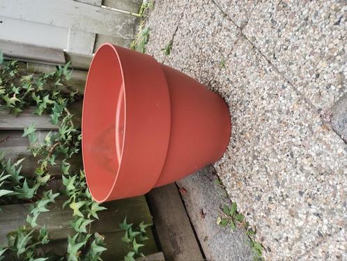 Grote bloempotten en kweekbak te koop van elho, Tuin en Terras, Bloembakken en Plantenbakken, Zo goed als nieuw, Kunststof, Minder dan 60 cm