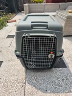 Zo goed als nieuw - Honden transportbox, Ophalen of Verzenden, Zo goed als nieuw