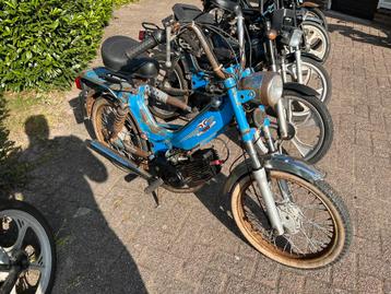 Gevraagd tomos en nog veel meer ook projecten beschikbaar voor biedingen