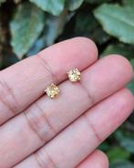 Citrien Oorknoppen - Echt Zilver