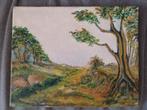 Olieverf Schilderij Landschap - Kunstenaar Onbekend, Ophalen