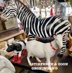 Zebra groot beeld polyester. STIEFBEEN EN ZOON, Ophalen, Nieuw