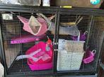 Critter Nation met alle toebehoren, Dieren en Toebehoren, Ophalen, Zo goed als nieuw, Kooi, Minder dan 60 cm