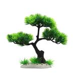 Bonsaibomen voor in het aquarium, keus uit 100 soorten!, Dieren en Toebehoren, Vissen | Aquaria en Toebehoren, Ophalen of Verzenden