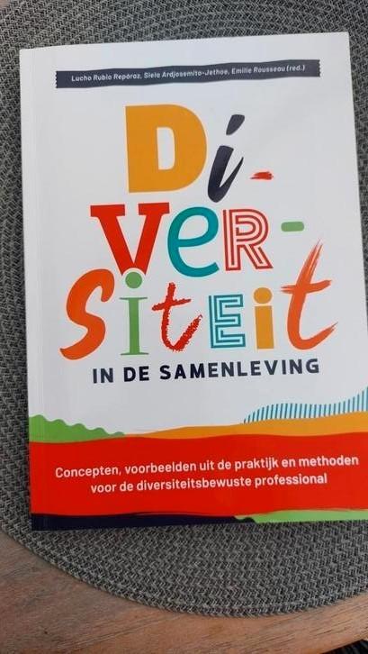 Diversiteit in de samenleving, Rubio, Jethoe, Rousseau, Boeken, Wetenschap, Zo goed als nieuw, Sociale wetenschap, Ophalen of Verzenden