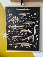 Poster Dinosaurus/skeletten, Ophalen