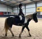 Verzorgpony gezocht, Ophalen, Overige soorten
