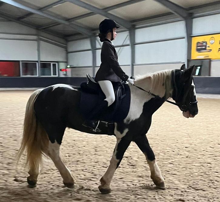 Verzorgpony gezocht, Dieren en Toebehoren, Paarden en Pony's | Overige Paardenspullen, Overige soorten, Ophalen