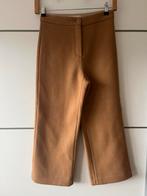 100 % Cashmere wol broek maat 36, Kleding | Dames, ., Ophalen of Verzenden, Zo goed als nieuw, Driekwart