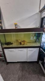 Compleet aquarium met buitenfilter, Dieren en Toebehoren, Vissen | Aquaria en Toebehoren, Ophalen, Gebruikt, Gevuld zoetwateraquarium