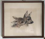 Originele ets van twee reetjes door Kurt M. Eberhardt fauna, Ophalen of Verzenden