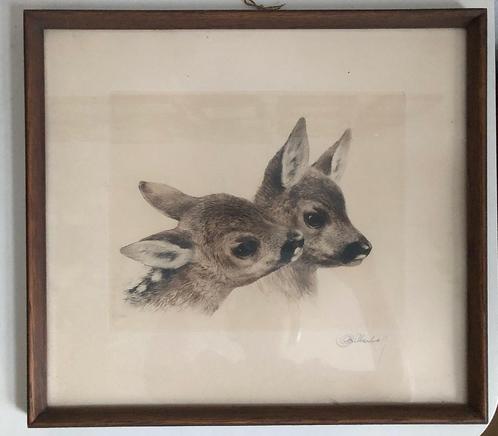 Originele ets van twee reetjes door Kurt M. Eberhardt fauna, Antiek en Kunst, Kunst | Etsen en Gravures, Ophalen of Verzenden
