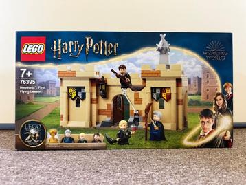 LEGO Harry Potter 76395 Hogwarts First Flying Lesson NIEUW beschikbaar voor biedingen
