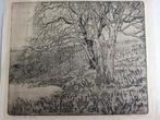 Frans Room Twee Bomen ets, Antiek en Kunst, Kunst | Etsen en Gravures, Ophalen of Verzenden