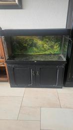 Juwel Rio 180 met SERA LED en EHEIM buitenfilter, Dieren en Toebehoren, Vissen | Aquaria en Toebehoren, Ophalen, Gebruikt, Leeg aquarium