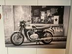 Reproductie van pers foto Triumph Bonnevile T120, Ophalen of Verzenden, Zo goed als nieuw, Schilderij, 75 cm of meer
