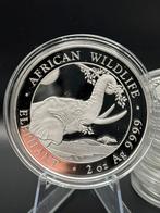 2oz African Elephant 2023 - Olifant zilver zilveren munt, Postzegels en Munten, Edelmetalen en Baren, Ophalen of Verzenden, Zilver