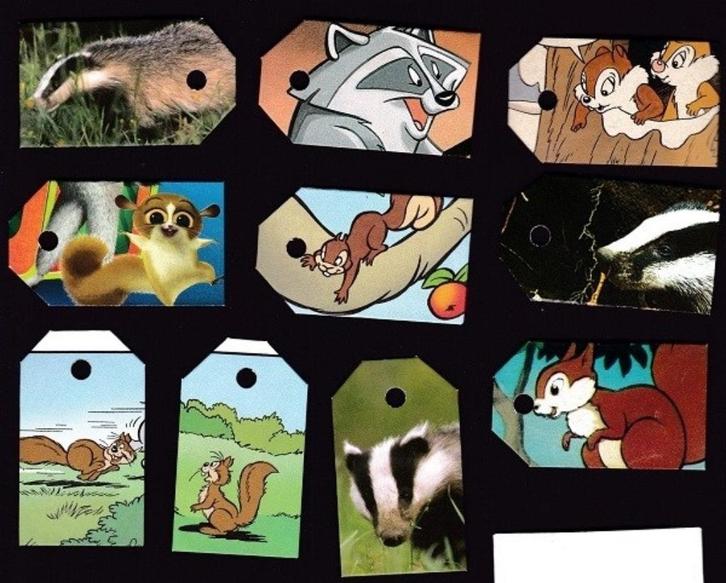 2910) eekhoorn, das, marter, knabbel en babbel, labeltjes, Verzamelen, Dierenverzamelingen, Zo goed als nieuw, Ophalen of Verzenden