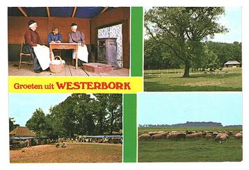942091	Westerbork	Drenthe	1979	 	Gelopen met postzegel       beschikbaar voor biedingen