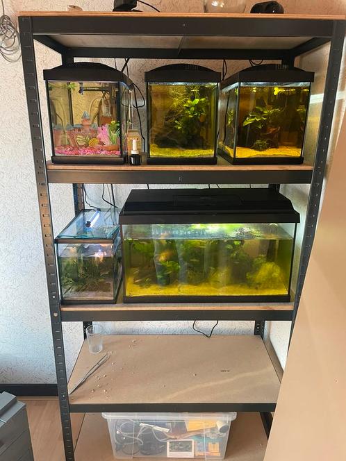 Aquaria inclusief toebehoren, Dieren en Toebehoren, Vissen | Aquaria en Toebehoren, Zo goed als nieuw, Leeg aquarium, Ophalen