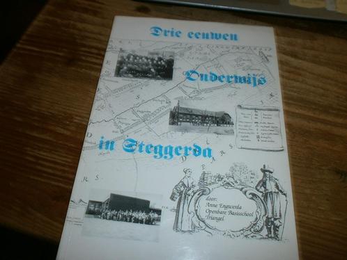 300 jaar onderwijs in steggerda met oude fotos, Boeken, Geschiedenis | Stad en Regio, Nieuw, 20e eeuw of later, Ophalen of Verzenden
