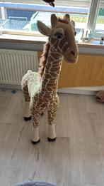 Leuke giraffe, Ophalen, Zo goed als nieuw, Overige typen