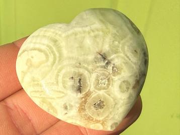 Zeegroene Aragoniet hart uit Indonesië mineralen beschikbaar voor biedingen