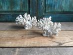 Kunst koraal wit, Huis en Inrichting, Woonaccessoires | Overige, Ophalen of Verzenden, Nieuw