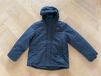 Tommy Hilfiger winterjas jas dik blauw jongen maat 152, Nieuw, Ophalen of Verzenden, Tommy Hilfiger, Jongen