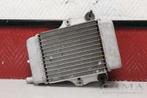 RADIATEUR Honda SES 150 Dylan (SES150) (01-1970/-) (614030), Gebruikt