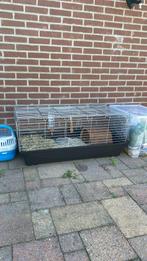 Konijnen Cavia hok, Dieren en Toebehoren, Knaagdieren en Konijnen | Hokken en Kooien, Kooi, 110 cm of meer, Zo goed als nieuw