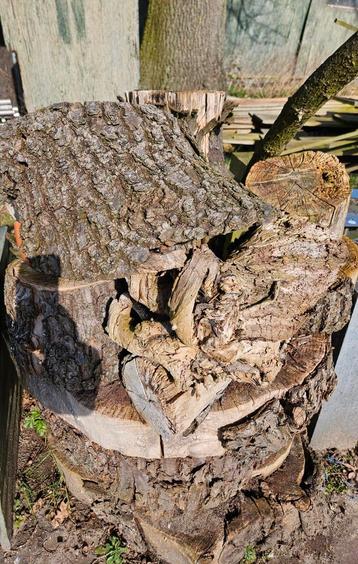 Kachel hout beschikbaar voor biedingen