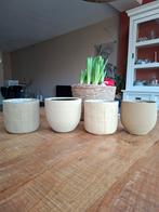 Mooie potten, Ophalen, Overige materialen, Pot, Bus of Blik