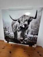 Glaskunst Schotse Hooglander, Ophalen, 50 tot 75 cm, 50 tot 75 cm, Print