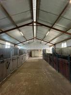 Stal vrij op kleinschalige pensionstal, Stalling, 1 paard of pony