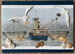 Visserboot., Hobby en Vrije tijd, Ophalen of Verzenden, Man of Vrouw