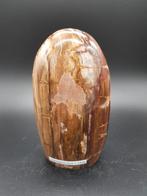 Versteend hout (nr. 2), Ophalen of Verzenden, Mineraal