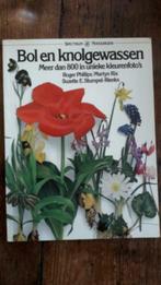 Bol en knolgewassen . Roger Phillips, Boeken, Ophalen of Verzenden, Zo goed als nieuw, Bloemen, Planten en Bomen, Roger Phillips
