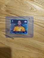 Virgil van Dijk Nederland Euro 2024 EK Glimmend, Ophalen of Verzenden, Zo goed als nieuw, Plaatje