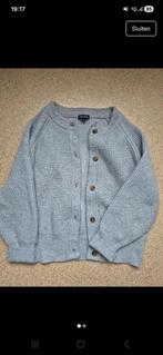 Be nice truitje, Kleding | Dames, Ophalen of Verzenden, Zo goed als nieuw