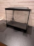 Aquarium 40l superfish 50, Ophalen, Zo goed als nieuw, Leeg aquarium