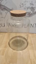 Glazen decoratie stolp vaas terrarium met kurk stop dop 50cm, Ophalen, Overige kleuren, Nieuw, Glas