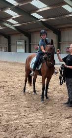 NRPS D-pony 3,5 jaar Ziro-la-di x Kasanova van klaverborch, Dieren en Toebehoren, Pony's, Merrie, 3 tot 6 jaar