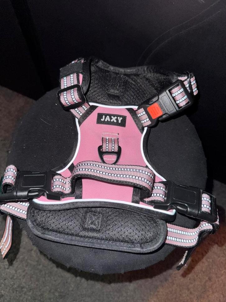 JAXY hondenharnas roze maat M, Dieren en Toebehoren, Honden-accessoires, Zo goed als nieuw, Ophalen of Verzenden