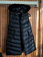 Mouwloze gewatteerde jas, Kleding | Dames, Bodywarmers, Ophalen of Verzenden, Zo goed als nieuw, Maat 42/44 (L), Zwart
